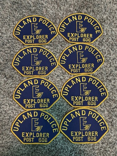 Eight boy scout - boy, upland