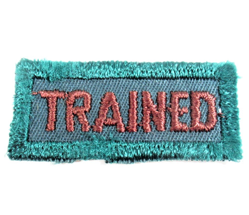 Bsa explorer trained patch - bsa,