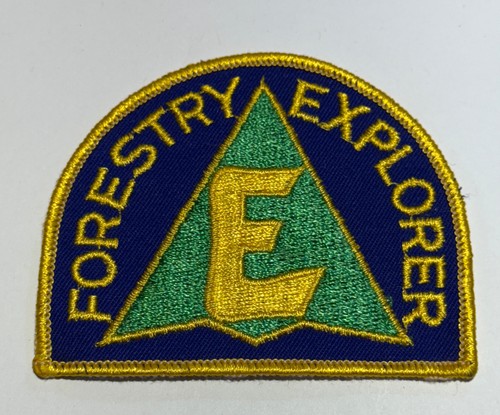Forestry explorer patch boy - explorer,