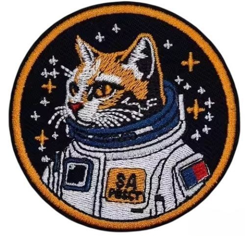 Cat kitten astronaut - cat,